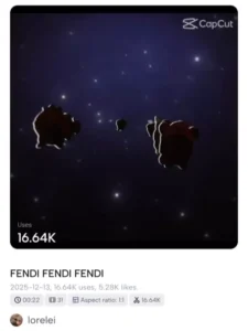 Fendi CapCut Template (2)