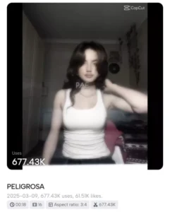 Peligrosa CapCut Template Free