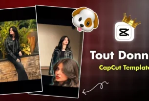 Tout Donner Capcut Template