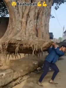 Tree Uproot Ai Video Editing 2025