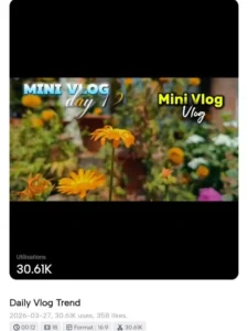 Daily Mini Vlog Capcut Template Link Working