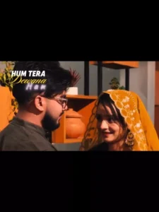 Ham Tere Deewane Hai Capcut Template Link