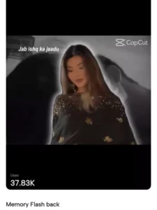 Memory Flashback Capcut Template