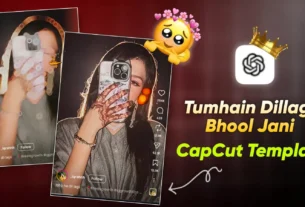 Tumhain Dillagi Bhool Jani Capcut Template