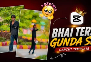 Bhai Tera Gunda Se Capcut Template