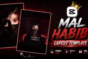 Mal Hbibi Capcut Template 2026